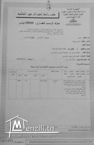 Terrain nu- Prix très encourageant