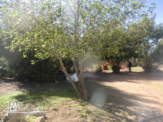 1000m² a  vendre situé a dar allouich