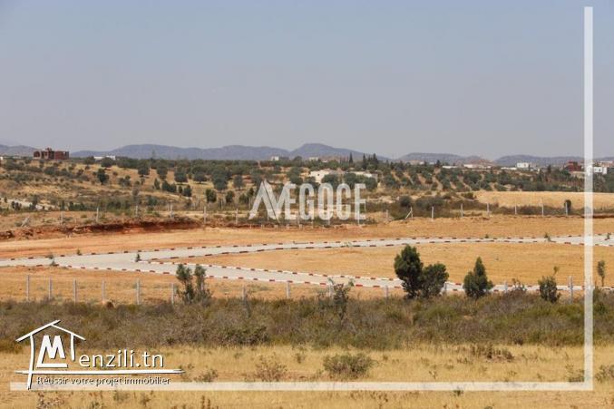 ????????PRIX CHOC????????☎ +216.28.913.443☎