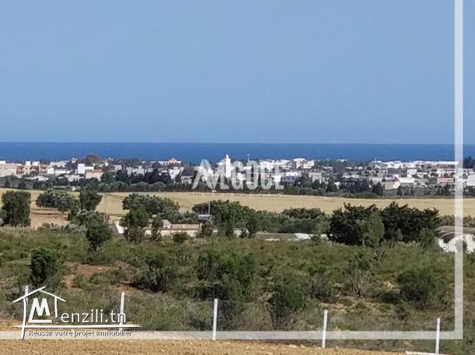 ????????PRIX CHOC????????☎ +216.28.913.443☎