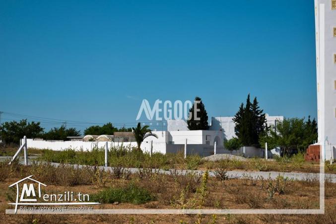 متفوتش الفرصة وكلمنا على  واتساب☎️216.28.913.443☎️