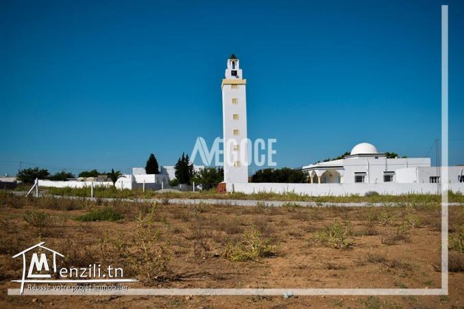 متفوتش الفرصة وكلمنا على  واتساب☎️216.28.913.443☎️