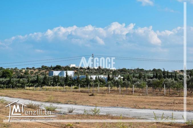 متفوتش الفرصة وكلمنا على  واتساب☎️216.28.913.443☎️