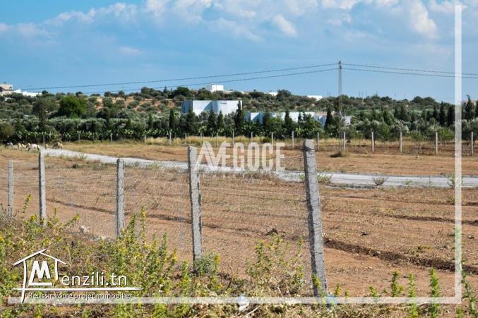 متفوتش الفرصة وكلمنا على  واتساب☎️216.28.913.443☎️