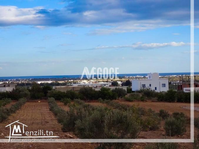 Terrain à vendre. 28 913 443