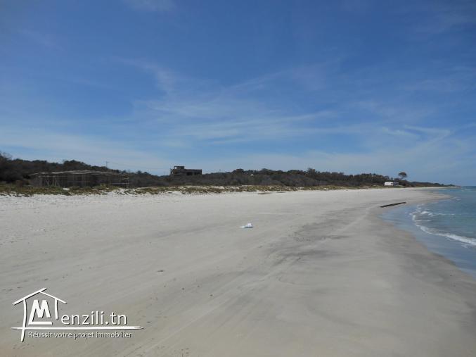 Lot de terrain magnifique au bord de la mer