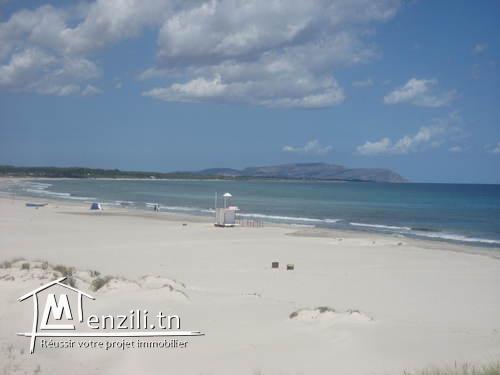 Lot de terrain magnifique au bord de la mer