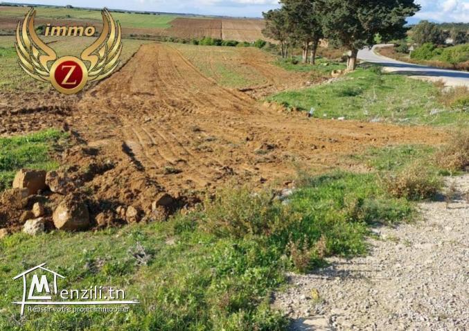 terrain à vendre contacter 55109619