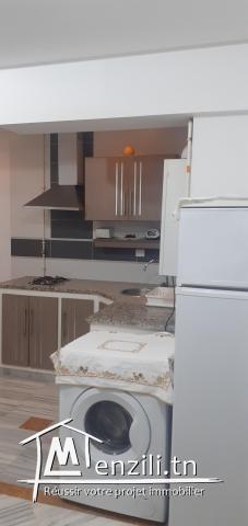 S+1 meublé bien équipé, très bon emplacement