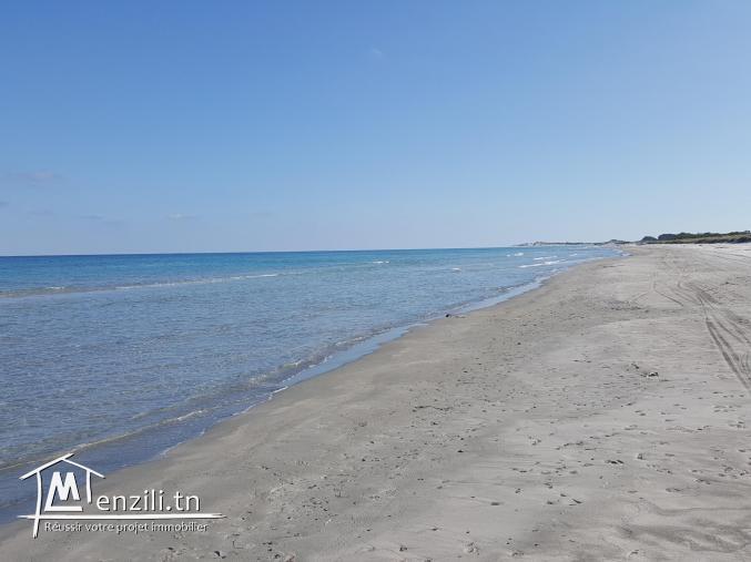 Une parcelle emplacement d'avenir