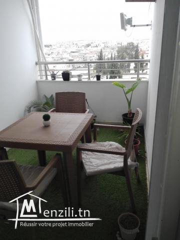 Appartement haute standing a vendre