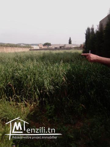 A vendre terrain 1700m2 a borj twil sidi youness