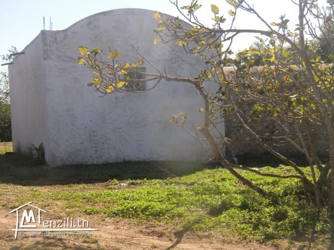 a vendre un maison style arabe habitable titre individuelle