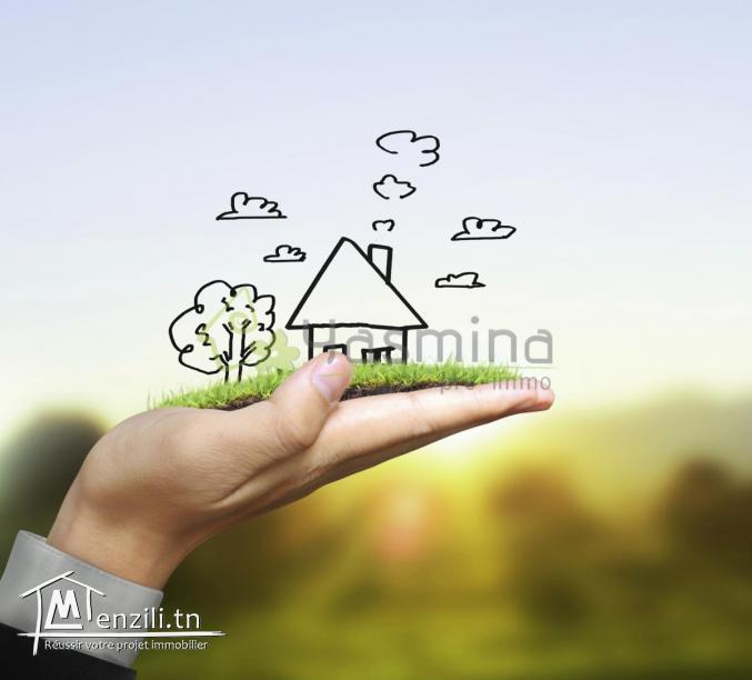 Terrain TH992 DOUIKHLA :