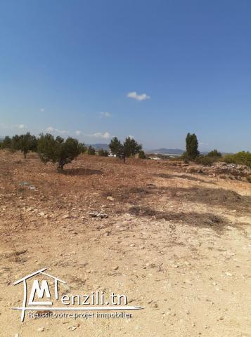 terrain 2000m² vue panoramique à la foret
