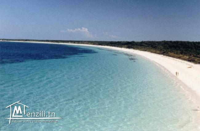 Un terrain superbe à votre disposition