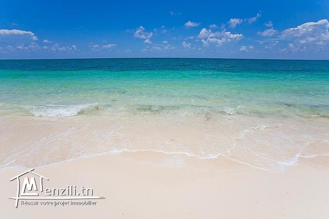 Un terrain superbe à votre disposition