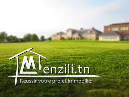 Terrain à Boukhriss