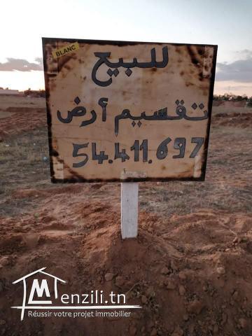 6 Lots derrière salle des fêtes Elmoulouk km10 entre gremda et teniour