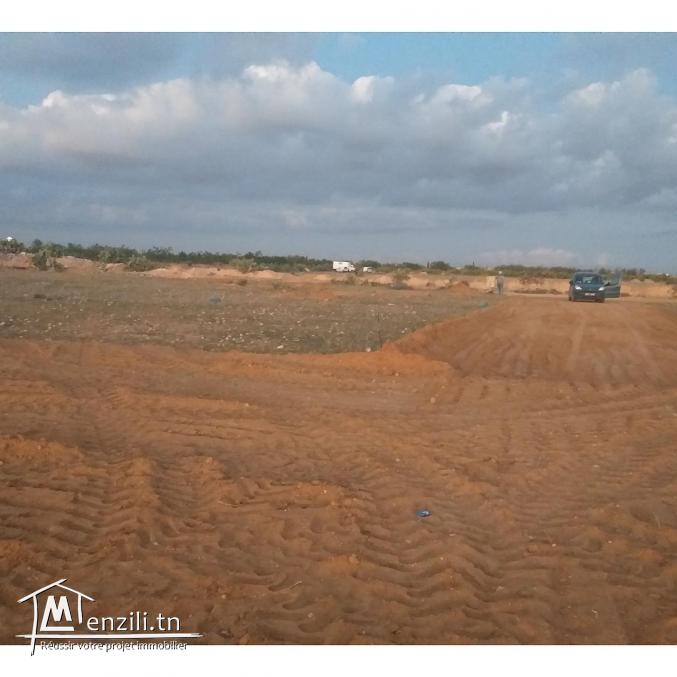 6 Lots derrière salle des fêtes Elmoulouk km10 entre gremda et teniour