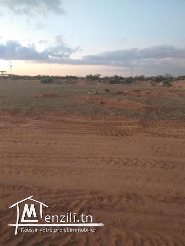 6 Lots derrière salle des fêtes Elmoulouk km10 entre gremda et teniour