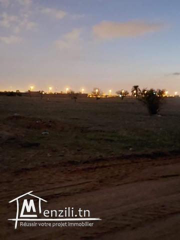 6 Lots derrière salle des fêtes Elmoulouk km10 entre gremda et teniour