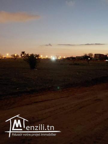 6 Lots derrière salle des fêtes Elmoulouk km10 entre gremda et teniour