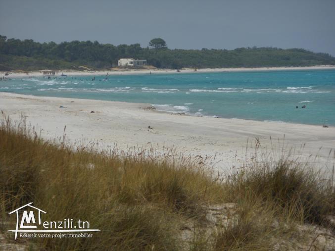 Un terrain éblouissant  à votre disposition