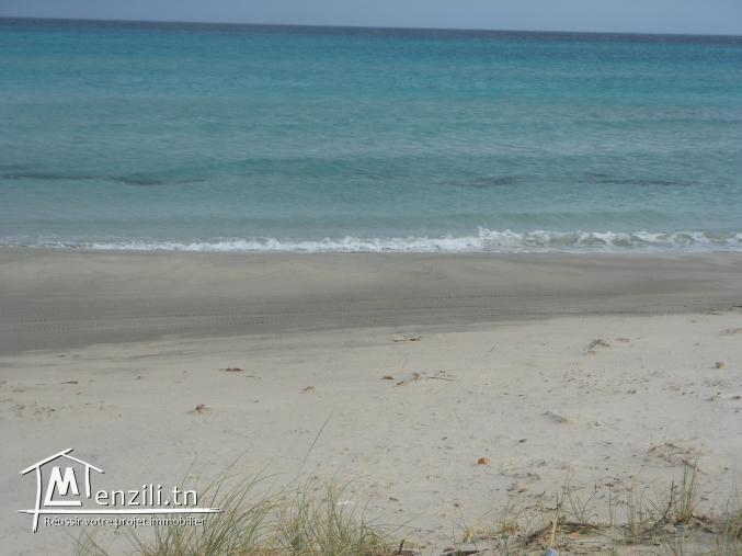 Un terrain éblouissant  à votre disposition
