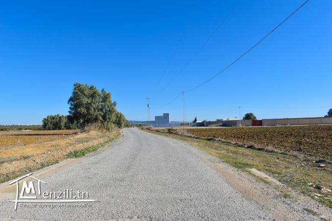 أرض للبيع في الحمامات الجنوبية  20.255.535