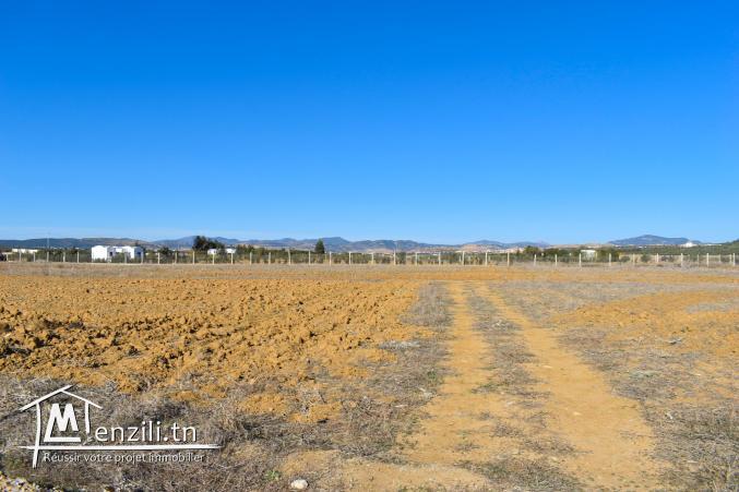 أرض للبيع في الحمامات الجنوبية  20.255.535