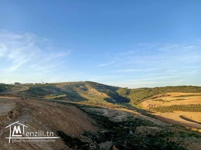 S+3 de haut standing  à Ennasr 2