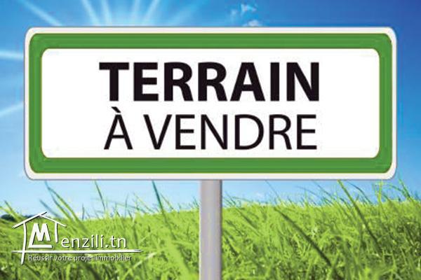 A vendre un terrain de promotion vocation R+4 au jardins de l'aouina