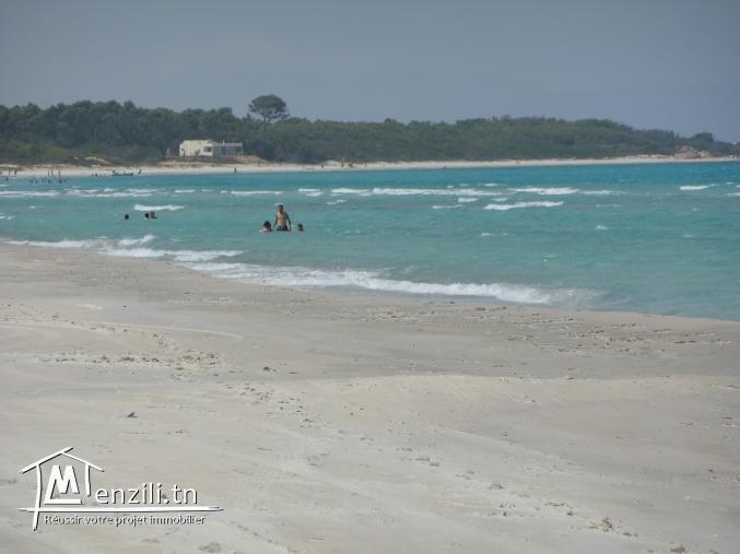Terrain  à un prix incroyable