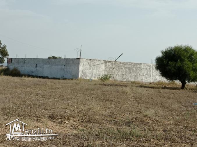 terrain sur le GP1 Hammamet sud bouficha