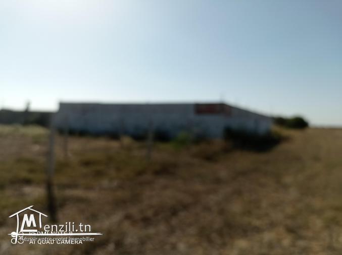 terrain sur le GP1 Hammamet sud bouficha