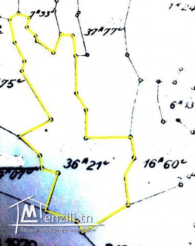[ ​#A VENDRE ]Terrain #3621M² #Koussour Gharnata