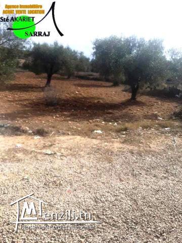 #Terrain #1683² #Sur La Route De Nageur #Kalaa Essghira