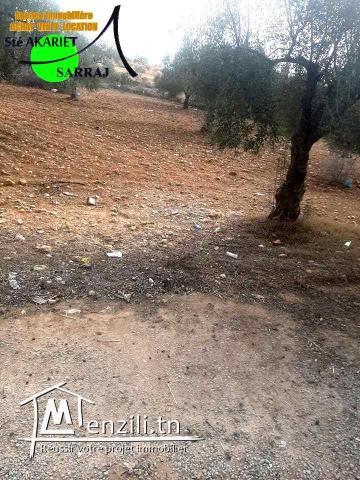 #Terrain #1683² #Sur La Route De Nageur #Kalaa Essghira