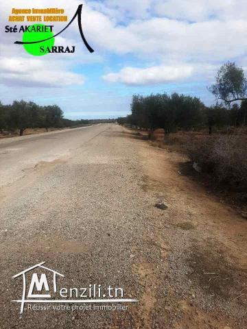 #Terrain #1683² #Sur La Route De Nageur #Kalaa Essghira