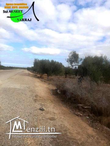#Terrain #1683² #Sur La Route De Nageur #Kalaa Essghira