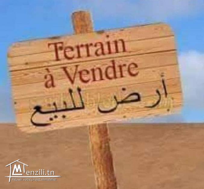 A vendre terrain