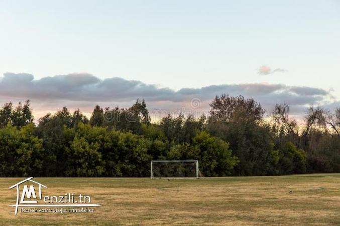 Terrain à Nadhour