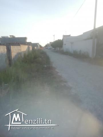 Terrain 250 m au raoued plage