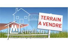 Terrain à Manouba pour Promoteur