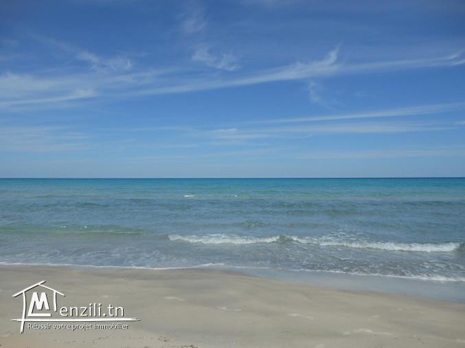 On met à votre disposition un terrain bien rare