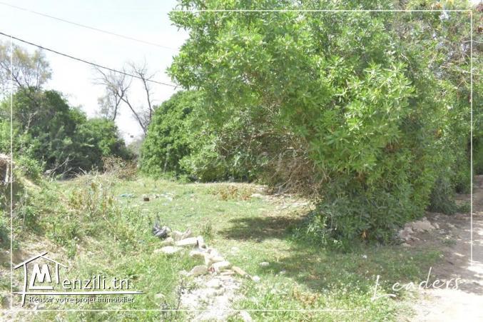 UN SUPERBE TERRAIN A LA SOUKRA