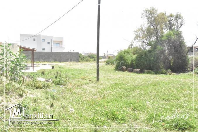 UN SUPERBE TERRAIN A LA SOUKRA