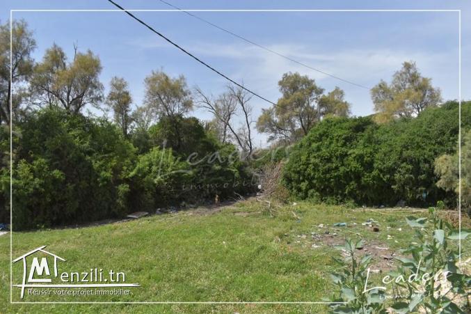 UN SUPERBE TERRAIN A LA SOUKRA