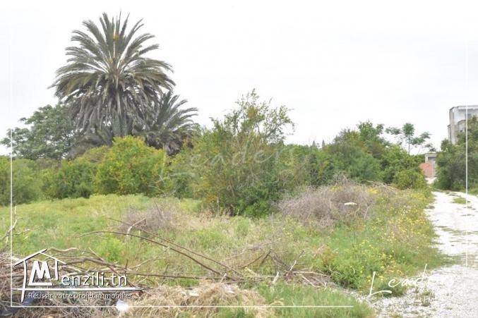 UN SUPERBE TERRAIN A LA SOUKRA